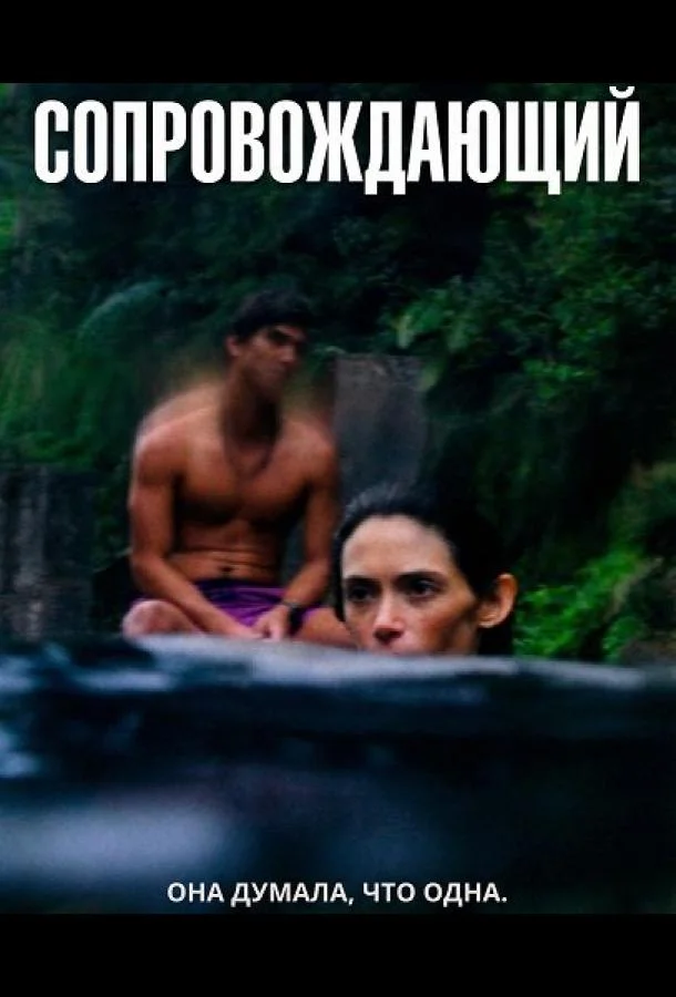 Сопровождающий (2024) смотреть онлайн