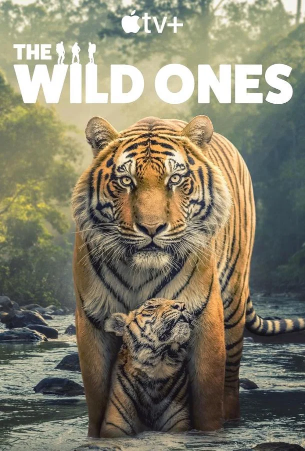 В мире дикой природы (1 сезон 1-4,5,6 серия) смотреть онлайн