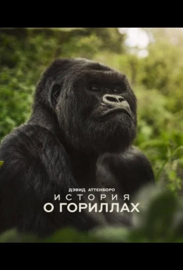 Дэвид Аттенборо. История о гориллах (2026) смотреть онлайн