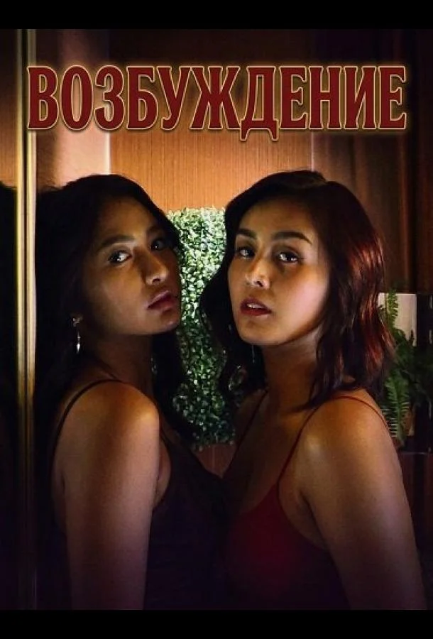 Возбуждение (2025) смотреть онлайн